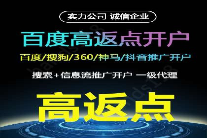 案例研究：关键词竞价排名实战技巧