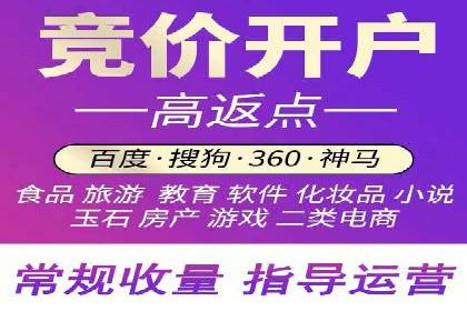 百度推广操作指南：案例解析